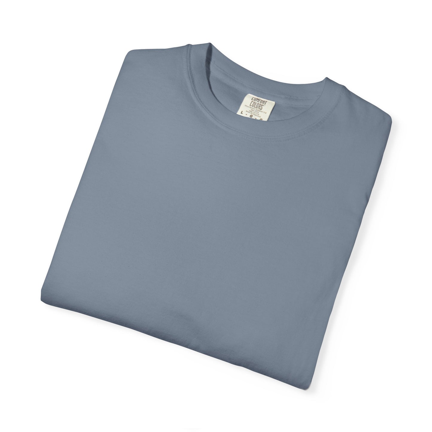 Praise the Lord T-Shirt — "Praise the Lord, Oh My Soul" Religious Tee