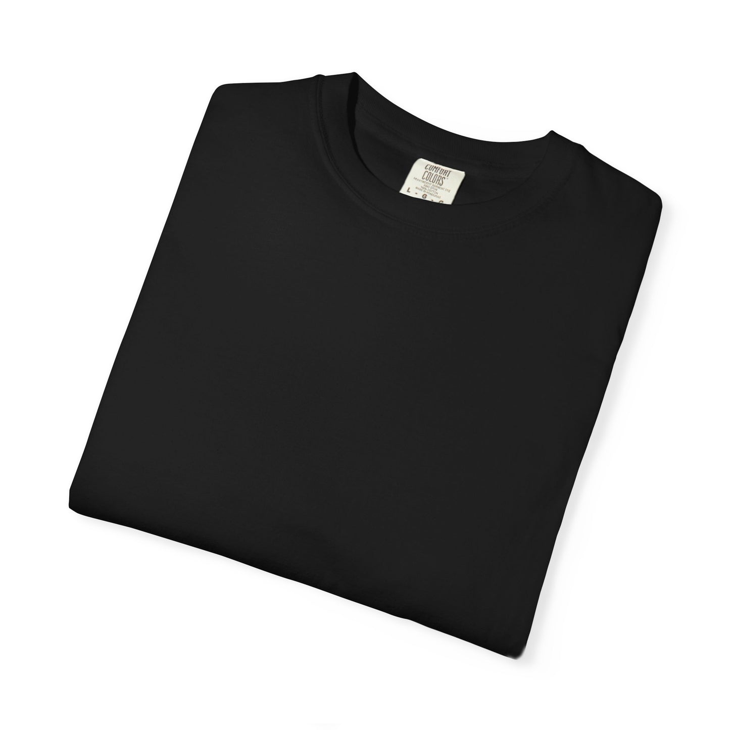 Praise the Lord T-Shirt — "Praise the Lord, Oh My Soul" Religious Tee