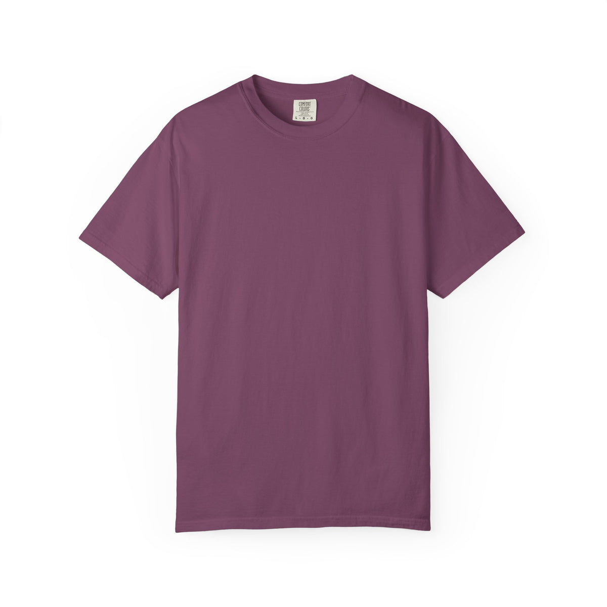 Praise the Lord T-Shirt — "Praise the Lord, Oh My Soul" Religious Tee